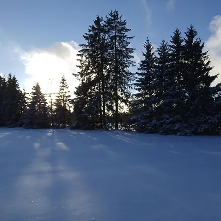 Lägenhet Eifel-life *