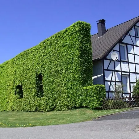 Apartmán Eifel-life