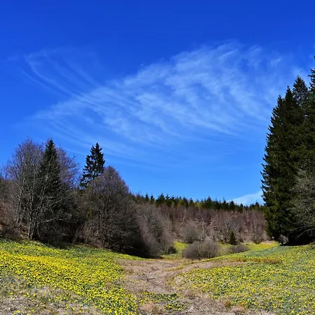 Eifel-life Appartement Simmerath