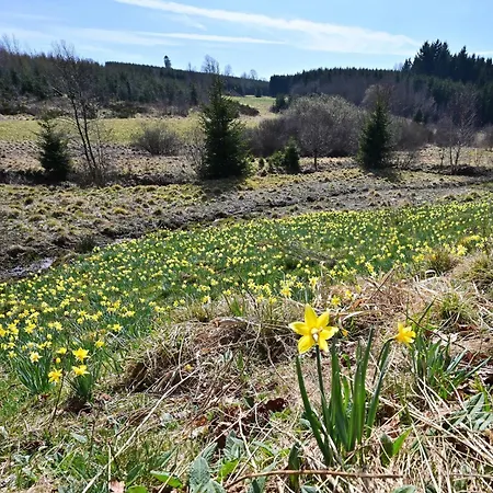 Eifel-life * Simmerath