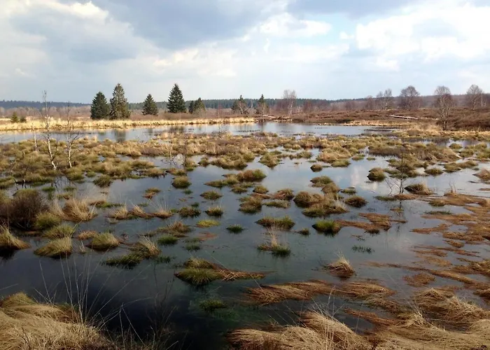 Lägenhet Eifel-life