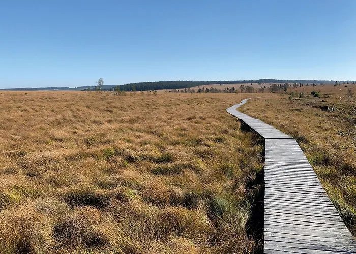 Lägenhet Eifel-life *