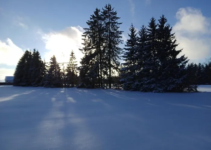 Apartamento Eifel-life *