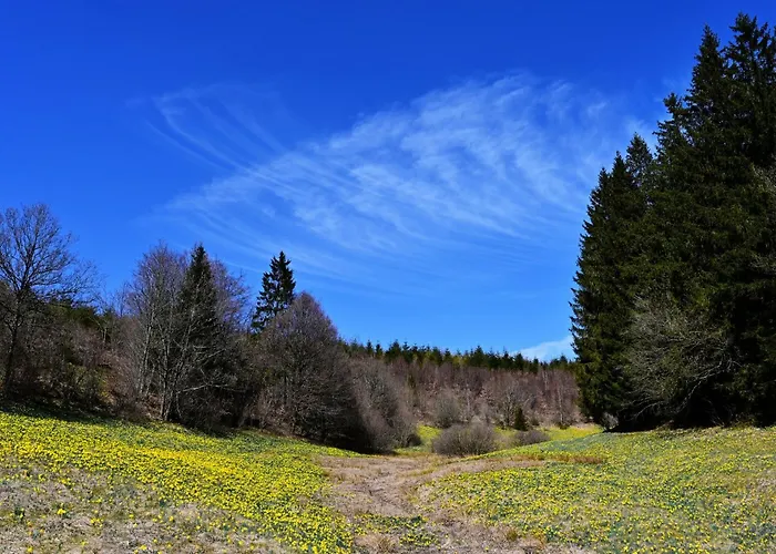 Eifel-life Lägenhet Simmerath